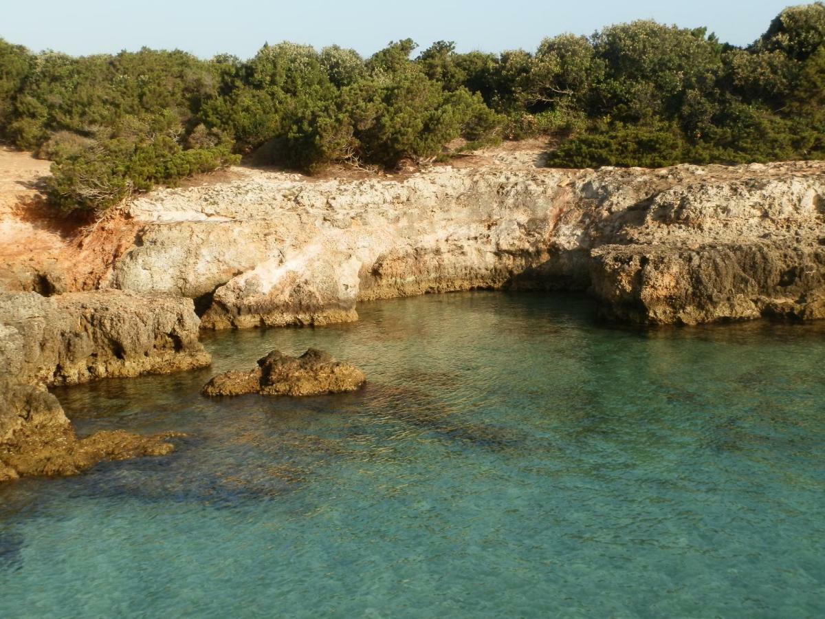 Il Fico D'India Dell'Antico Orto Vila Ostuni Exterior foto