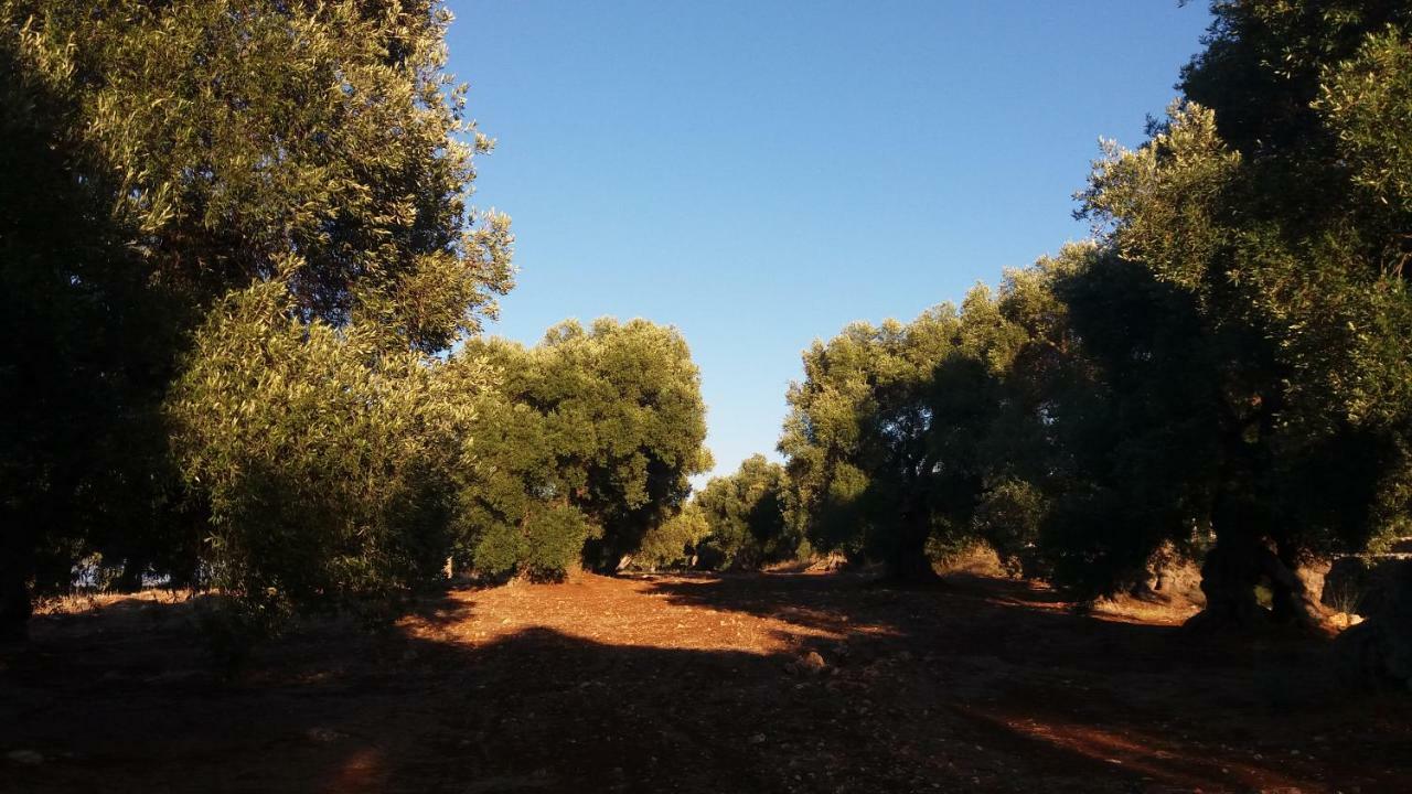 Il Fico D'India Dell'Antico Orto Vila Ostuni Exterior foto