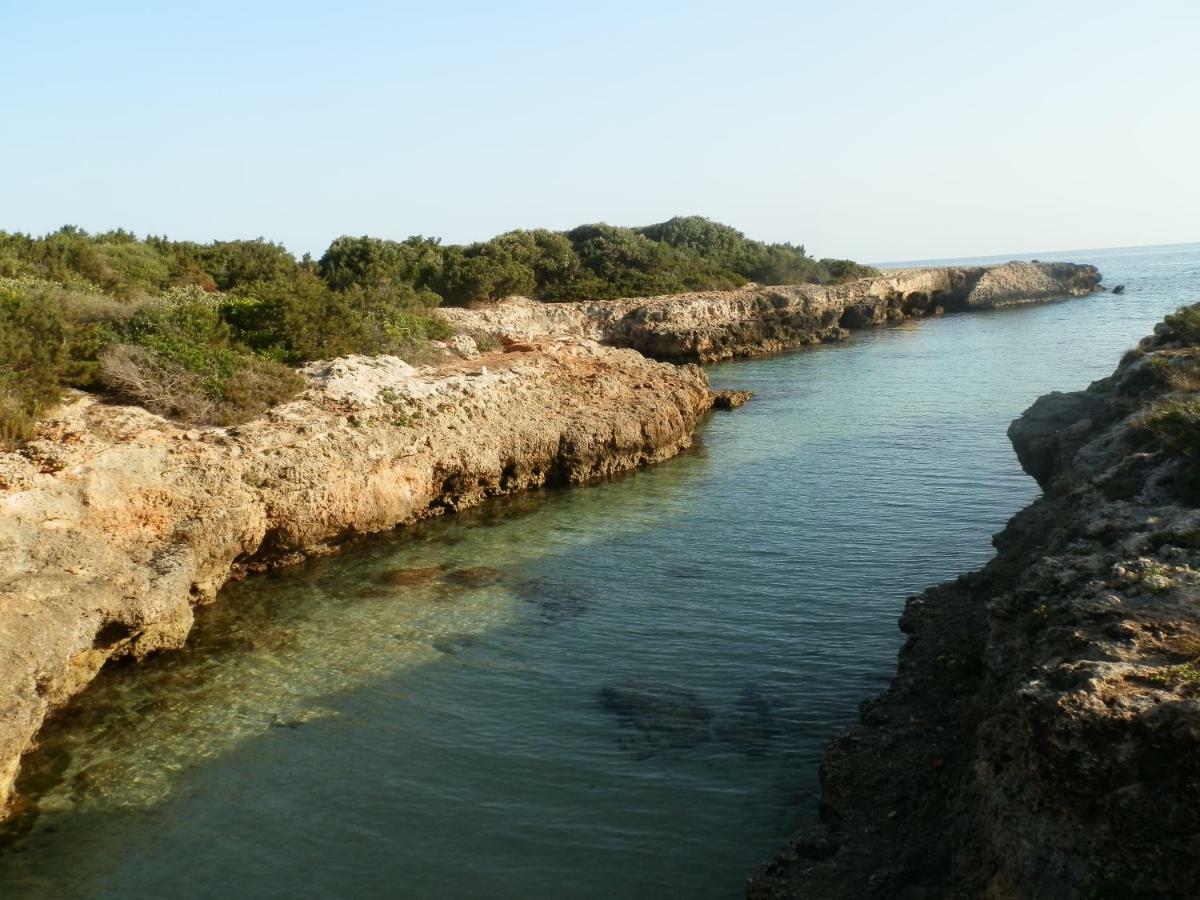 Il Fico D'India Dell'Antico Orto Vila Ostuni Exterior foto